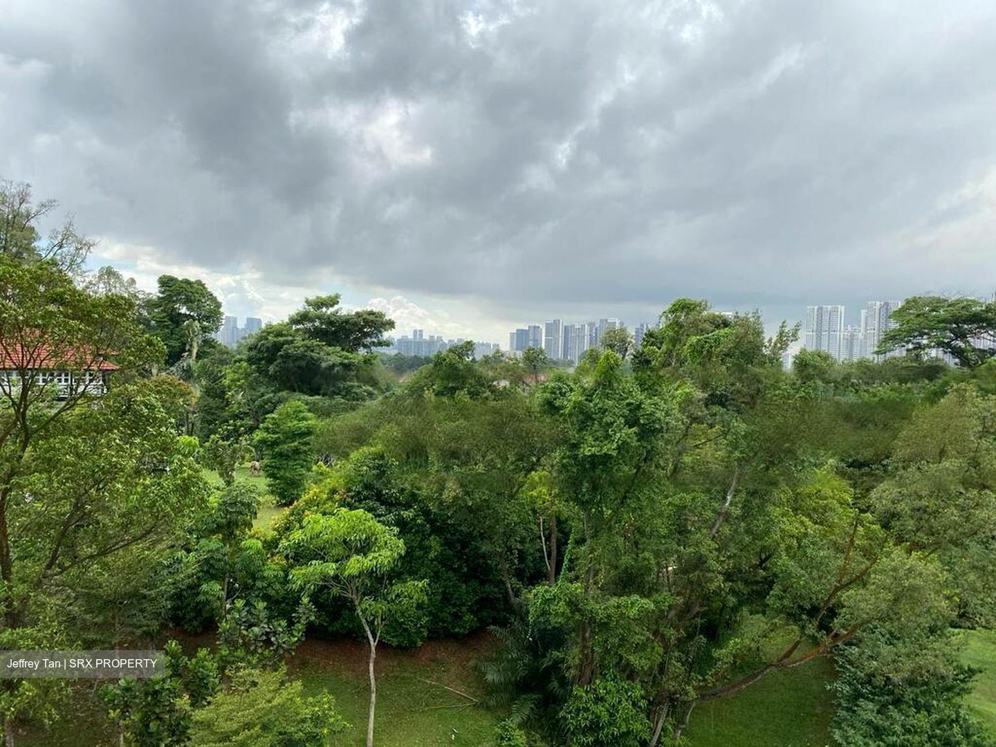 Holland Tower (D10), Apartment #431360241